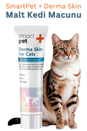 SmartPet + Derma Skin Sensitive Skin Tüy Sağlığı Destekleyici Kedi Macunu 100gr - Thumbnail