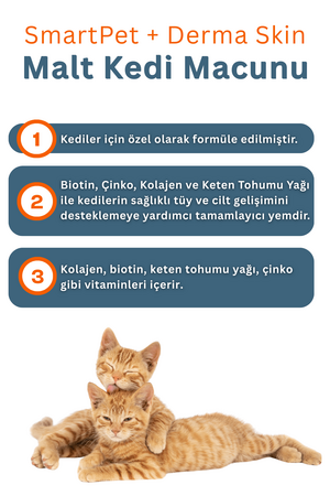 SmartPet + Derma Skin Sensitive Skin Tüy Sağlığı Destekleyici Kedi Macunu 100gr - Thumbnail