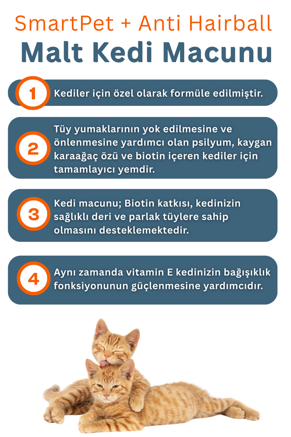 SmartPet + Anti Hairball Malt Kedi Macunu 100ml
