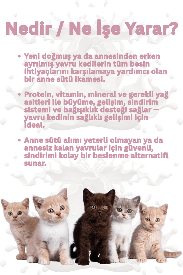 Smartpet + Yavru Kediler için Süt Tozu 200gr