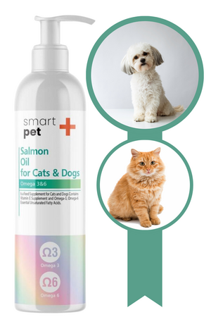 Smartpet + Kedi ve Köpekler için Somon Yağı 250ml - Thumbnail (3)