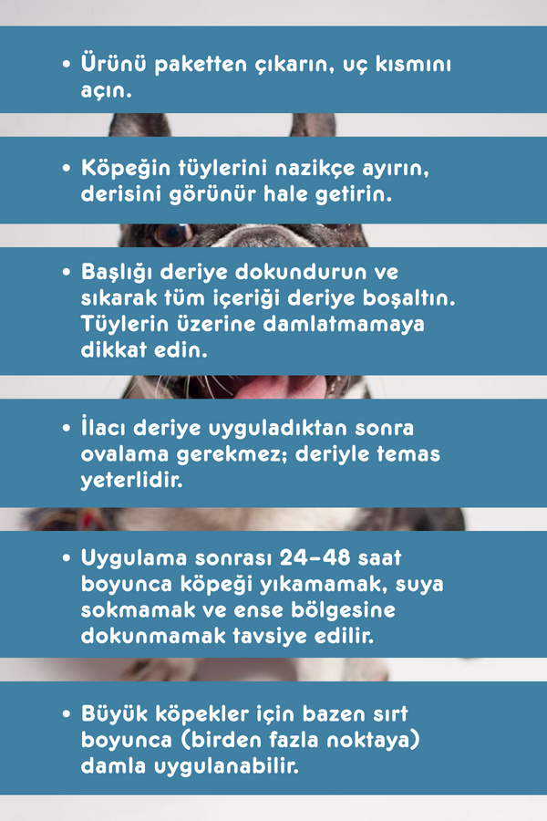 Smartpet + 1-10kg Köpekler İçin Deri Bakım Ense Damlası 3x1,5ml