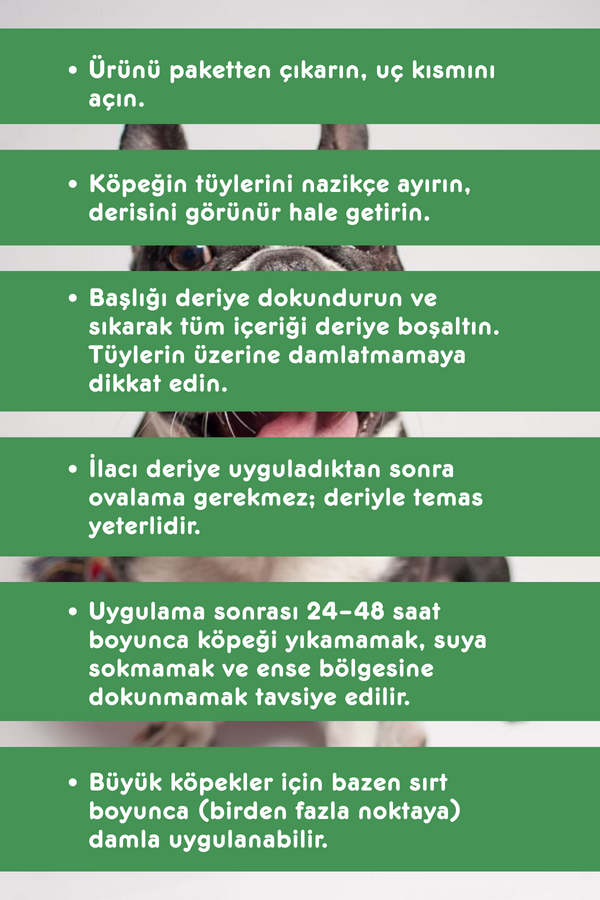 Smartpet + 10-20kg Köpekler İçin Deri Bakım Ense Damlası 3x3ml