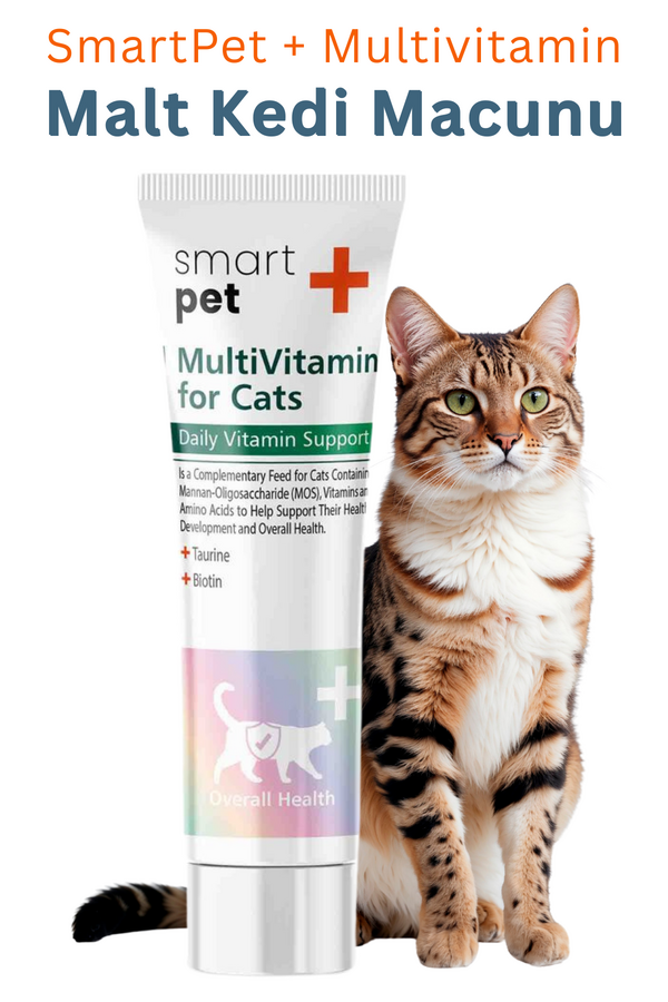 SmartPet + Multivitamin Kedi Macunu 100ml