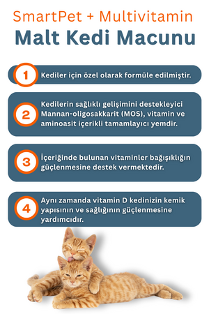 SmartPet + Multivitamin Kedi Macunu 100ml - Thumbnail