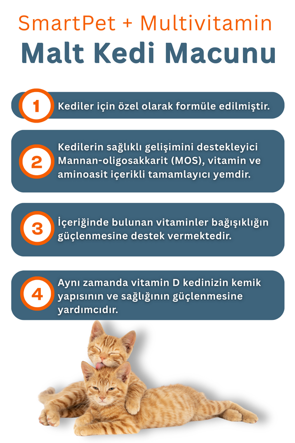 SmartPet + Multivitamin Kedi Macunu 100ml