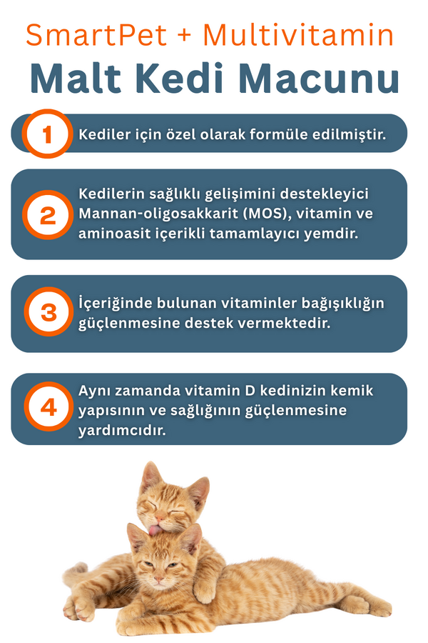 SmartPet + Multivitamin Kedi Macunu 25ml