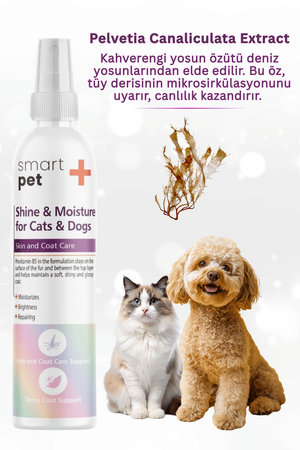 SmartPet + Shine and Moisture Kedi ve Köpekler için Tüy Parlatıcı Sprey 100ml - Thumbnail