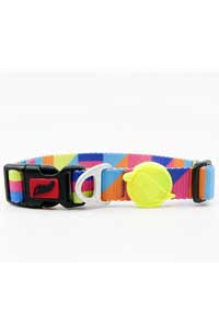 TAILPETZ - Tailpetz Spirit Collar Köpek Boyun Tasması S
