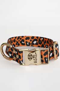 TAİLOR - Tailor Klasik Leo Köpek Boyun Tasması Small