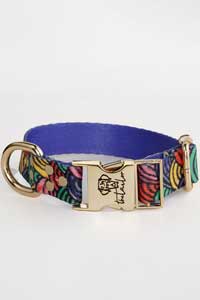 TAİLOR - Tailor Rainbow Köpek Boyun Tasması Medium