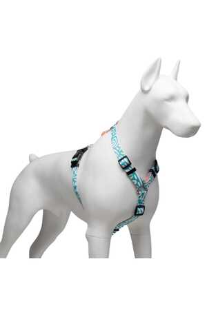 Lindo Touch H Tipi Göğüs Tasması S - Thumbnail (3)