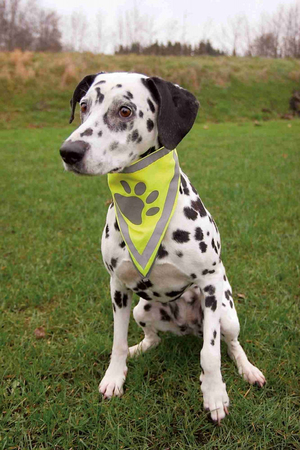 TRIXIE - Trixie Köpek Bandanası 29-42cm (S/M)