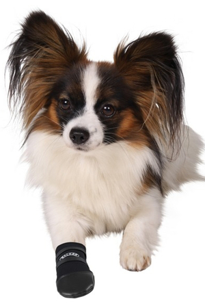 TRIXIE - Trixie Köpek Patiği Neopren (S) Siyah 2 Adet