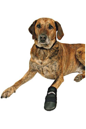 TRIXIE - Trixie Köpek Patiği Neopren (XL) Siyah 2 Adet