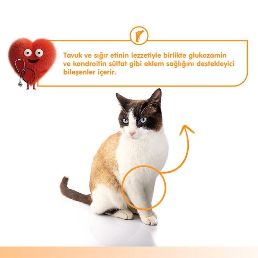 Wanpy Bone Support Sığır Eti ve Tavuklu Kedi Ödülü 5x14 Gr