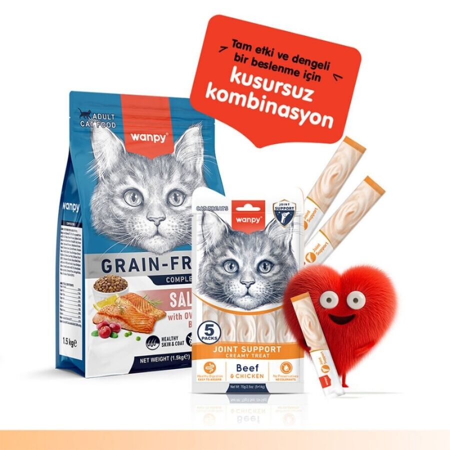 Wanpy Bone Support Sığır Eti ve Tavuklu Kedi Ödülü 5x14 Gr
