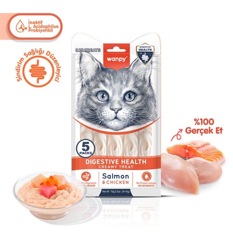 Wanpy Digestive Health Somon Balığı ve Tavuklu Krema Kedi Ödülü 5x14 Gr