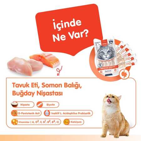 Wanpy Digestive Health Somon Balığı ve Tavuklu Krema Kedi Ödülü 5x14 Gr - Thumbnail