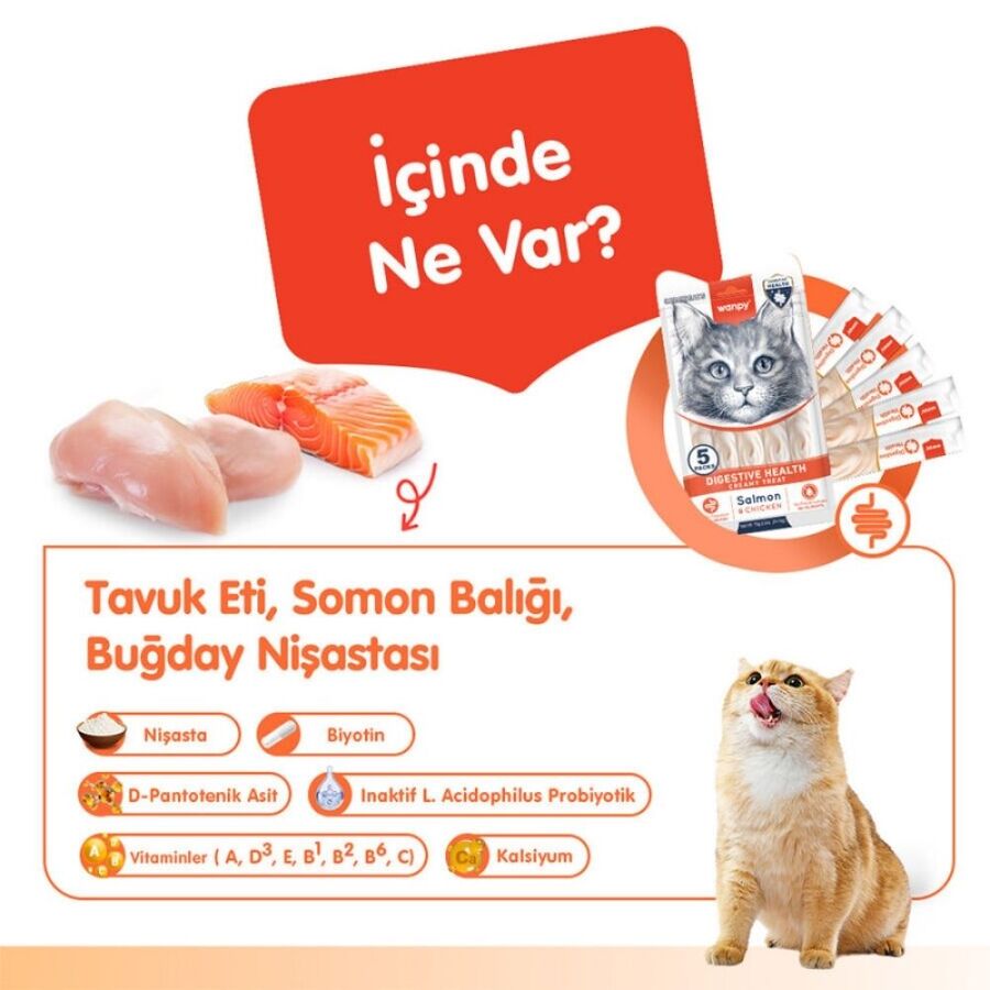 Wanpy Digestive Health Somon Balığı ve Tavuklu Krema Kedi Ödülü 5x14 Gr