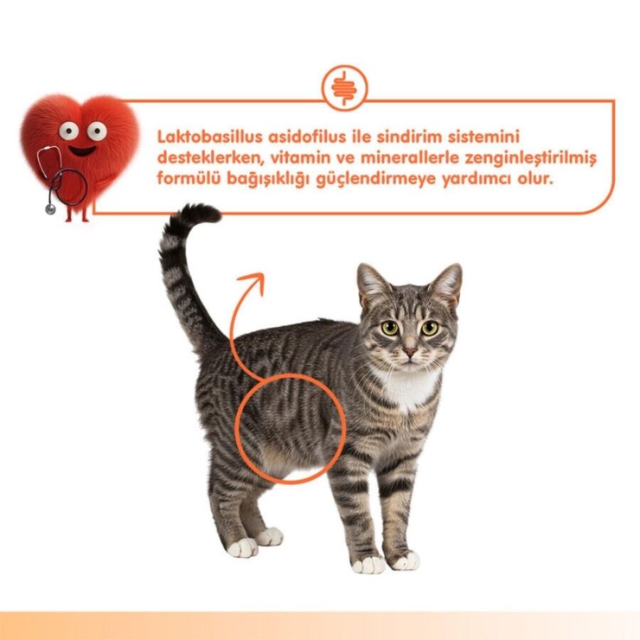 Wanpy Digestive Health Somon Balığı ve Tavuklu Krema Kedi Ödülü 5x14 Gr