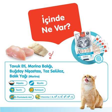 Wanpy Hairball Control Morina Balığı ve Tavuklu Krema Kedi Ödülü 5x14 Gr - Thumbnail