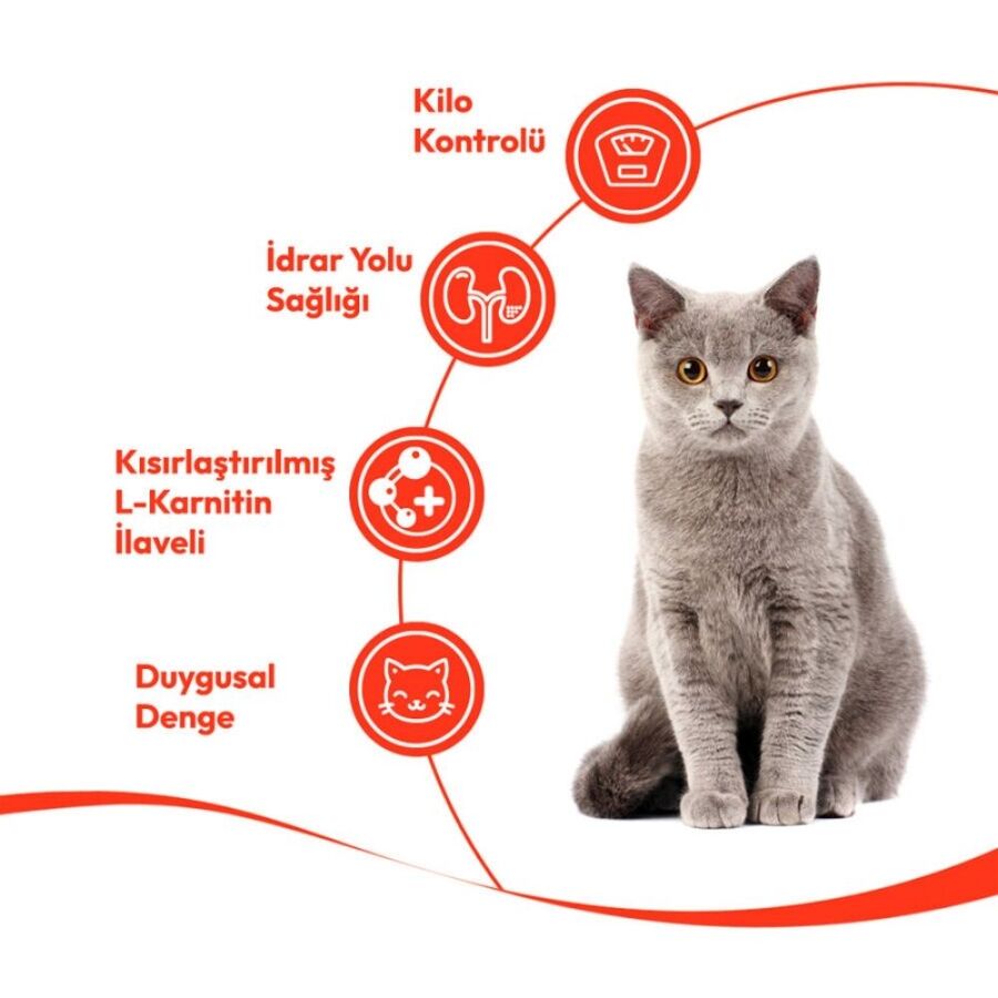 Wanpy Hindili ve Kızılcıklı Kısırlaştırılmış Kedi Krema Ödülü 5×14gr