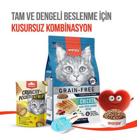 Wanpy Crunch Tavuklu ve Kedi Otlu Kedi Ödül Maması 60gr - Thumbnail