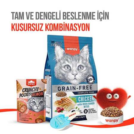 Wanpy Crunch Somonlu ve Havyarlı Kedi Ödül Maması 60gr - Thumbnail