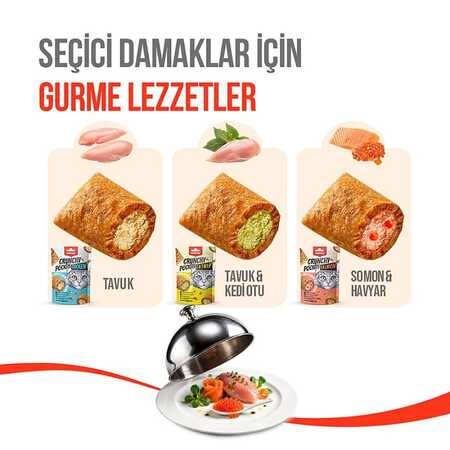 Wanpy Crunch Somonlu ve Havyarlı Kedi Ödül Maması 60gr - Thumbnail