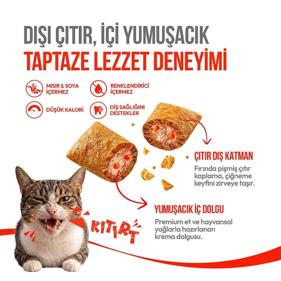 Wanpy Crunch Somonlu ve Havyarlı Kedi Ödül Maması 60gr