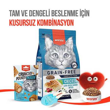 Wanpy Crunch Tavuklu Kedi Ödül Maması 60gr - Thumbnail