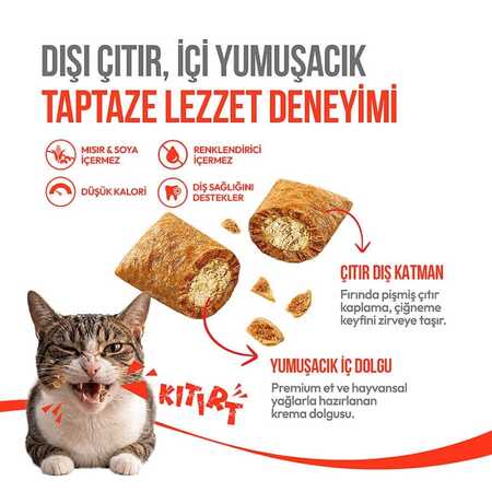 Wanpy Crunch Tavuklu Kedi Ödül Maması 60gr - Thumbnail (2)