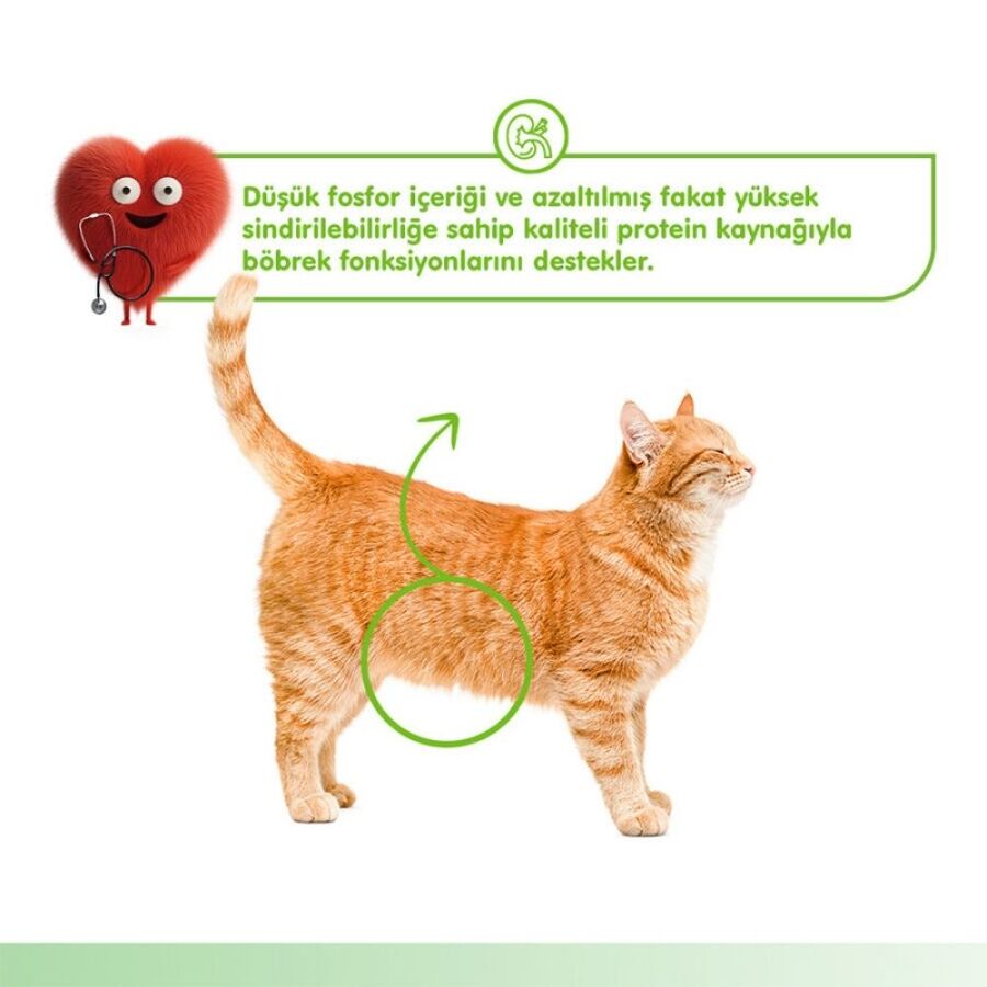 Wanpy Kidney Health Tavuklu ve Sebzeli Krema Kedi Ödülü 5x14 Gr