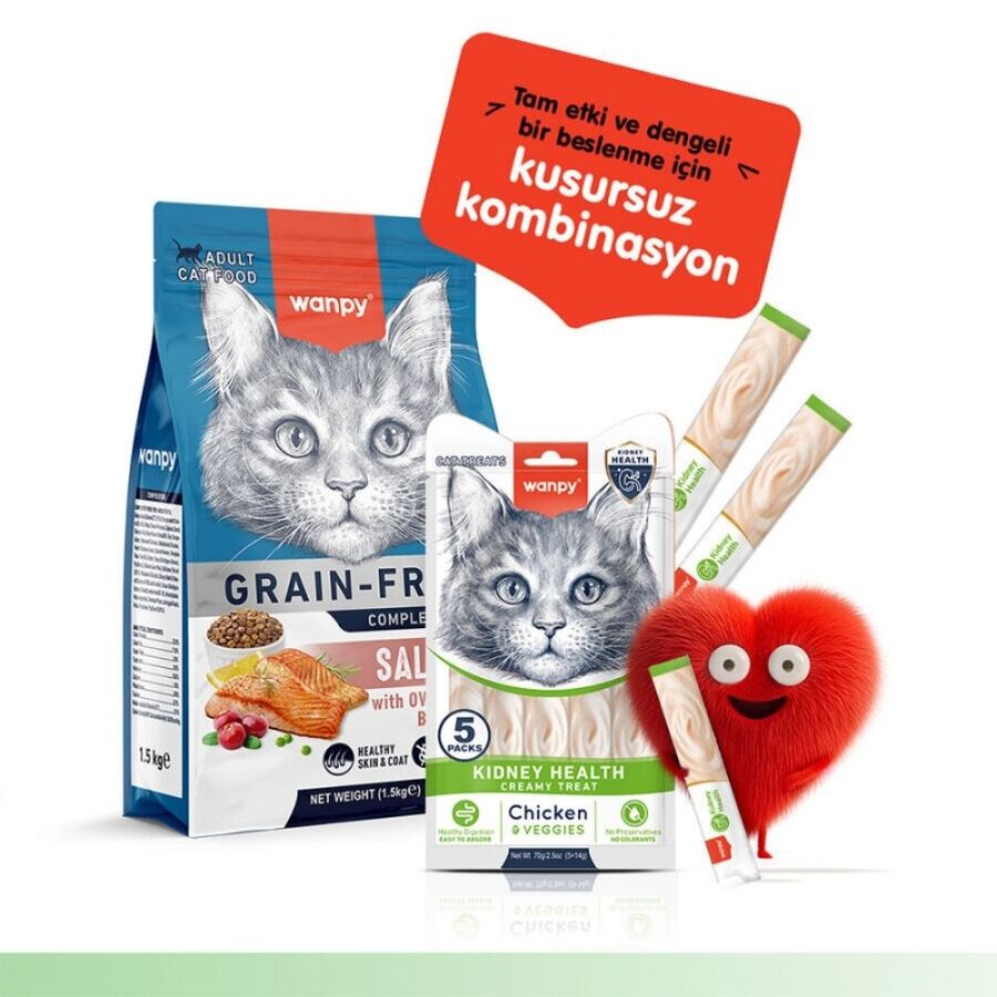 Wanpy Kidney Health Tavuklu ve Sebzeli Krema Kedi Ödülü 5x14 Gr