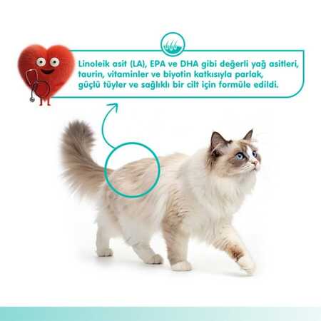 Wanpy Skin&Coat Ton Balığı ve Somonlu Krema Kedi Ödülü 5x14 Gr - Thumbnail