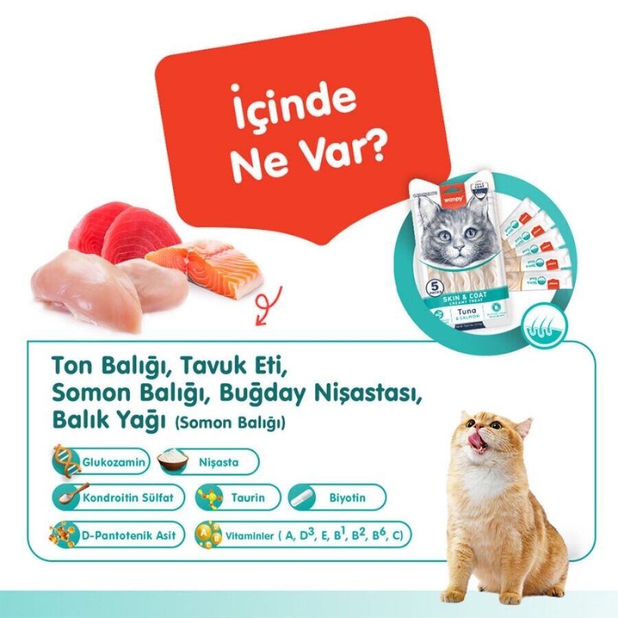 Wanpy Skin&Coat Ton Balığı ve Somonlu Krema Kedi Ödülü 5x14 Gr
