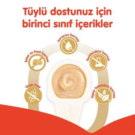 Wanpy Somonlu Kaşıklı Kedi Ödül Kreması 10x16gr - Thumbnail (1)