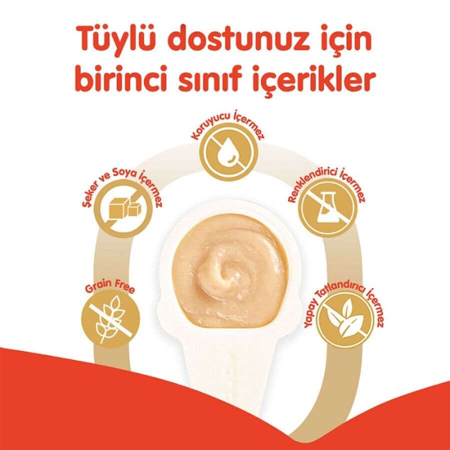 Wanpy Somonlu Kaşıklı Kedi Ödül Kreması 10x16gr