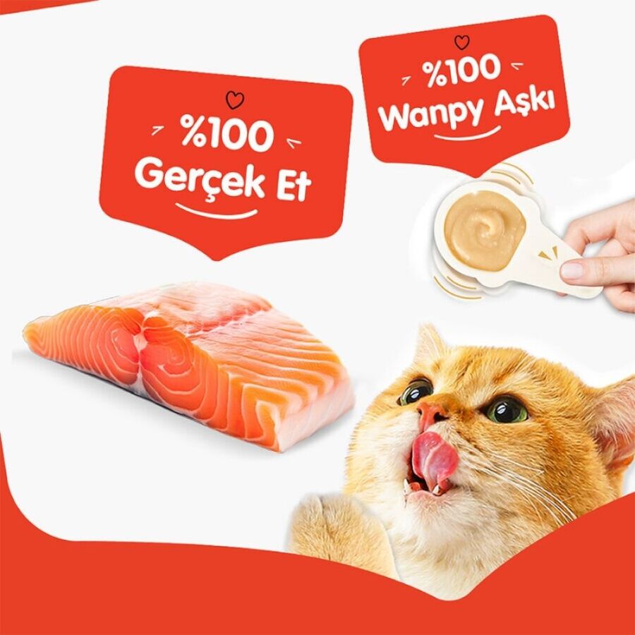 Wanpy Somonlu Kaşıklı Kedi Ödül Kreması 10x16gr
