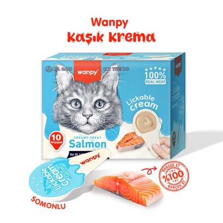 WANPY - Wanpy Somonlu Kaşıklı Kedi Ödül Kreması 10x16gr