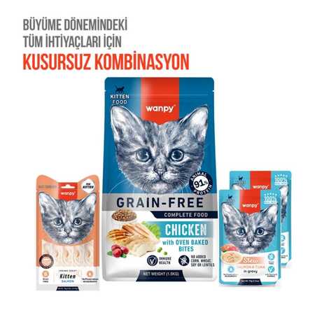 Wanpy Somonlu Yavru Kedi Krema Ödülü 5×14gr - Thumbnail