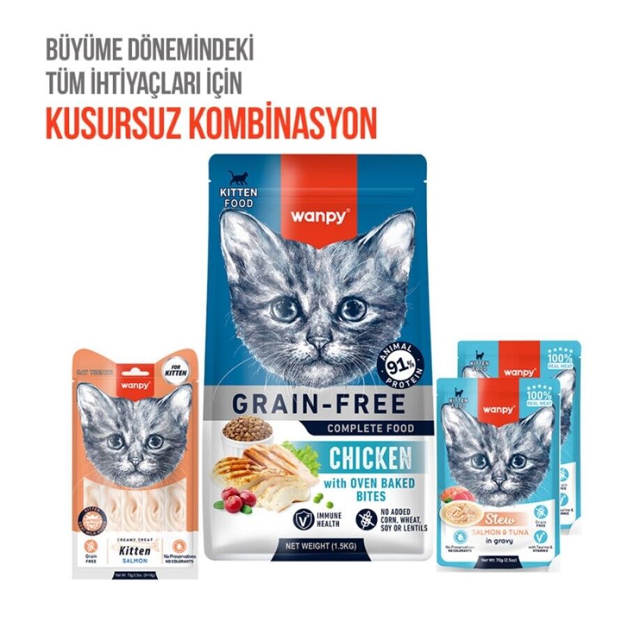 Wanpy Somonlu Yavru Kedi Krema Ödülü 5×14gr