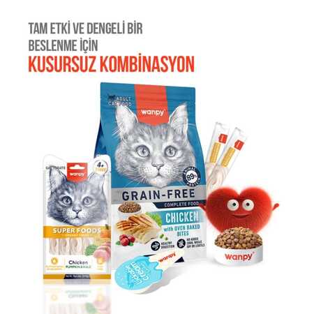 Wanpy Superfood Balkabağı ve Kara Lahanalı Krema Kedi Ödülü 5×14gr - Thumbnail