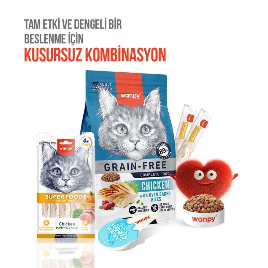 Wanpy Superfood Balkabağı ve Kara Lahanalı Krema Kedi Ödülü 5×14gr