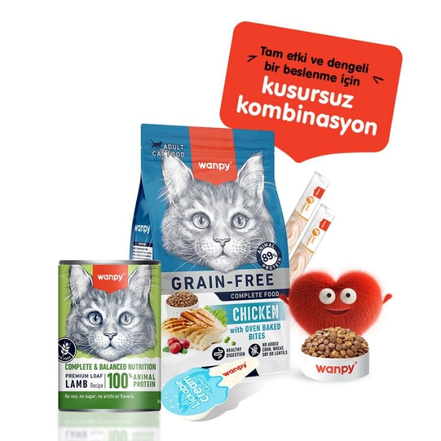 Wanpy Tahılsız %100 Gerçek Et Kuzulu Yetişkin Kedi Konservesi 375gr - 4