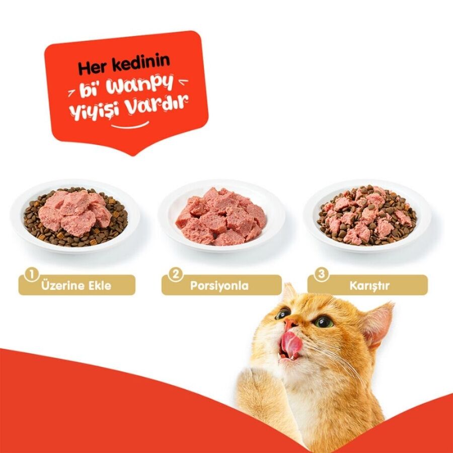 Wanpy Tahılsız %100 Gerçek Et Ton Balıklı Yetişkin Kedi Konserve 375gr - 3