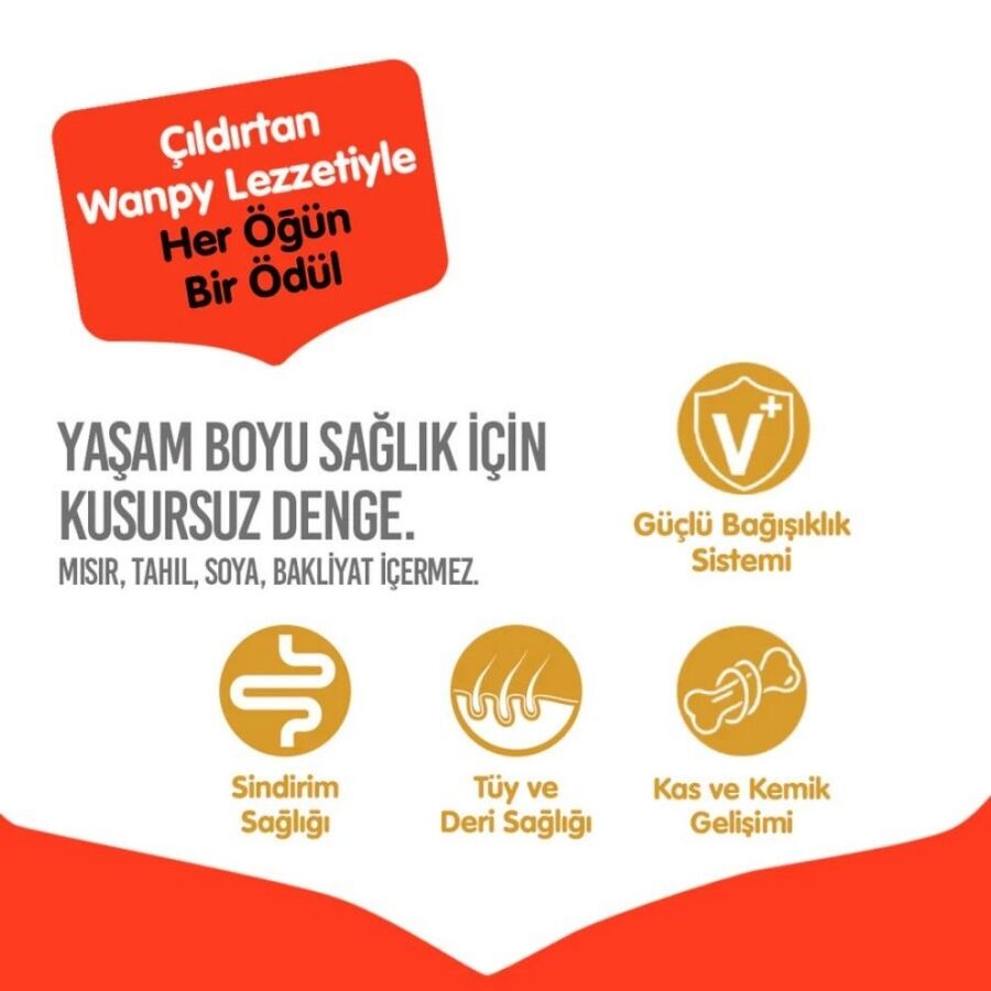 Wanpy Tahılsız Ördekli Yetişkin Köpek Maması 12kg