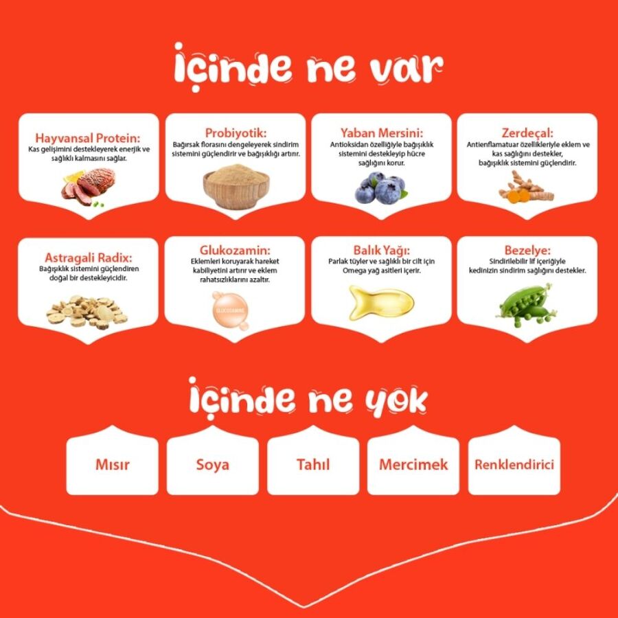Wanpy Tahılsız Ördekli Yetişkin Köpek Maması 12kg - 3
