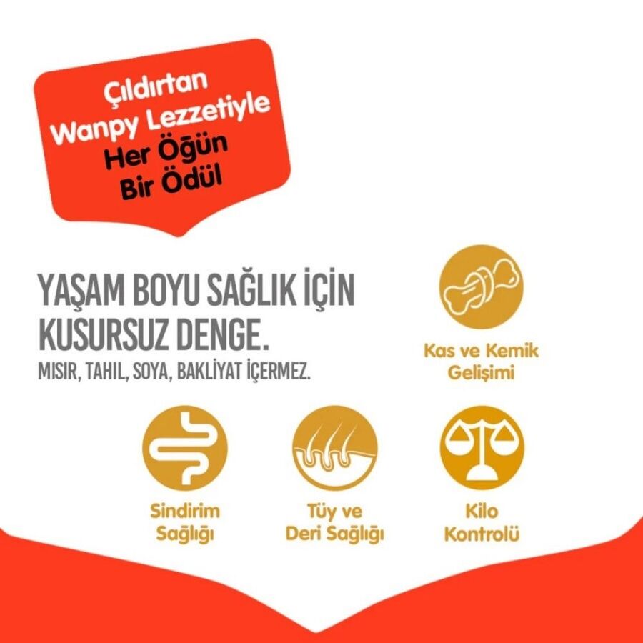 Wanpy Tahılsız Sığır Etli Yetişkin Köpek Maması 12kg - 5